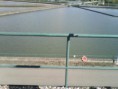 /album/eta-e-pnln/a130313-1041-004-jpg/