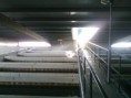 /album/eta-e-pnln/a130313-1047-001-jpg/